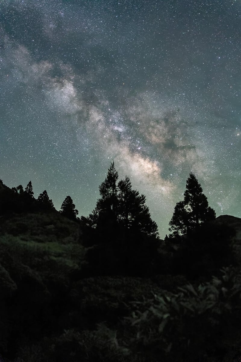 Milky Way Gardens